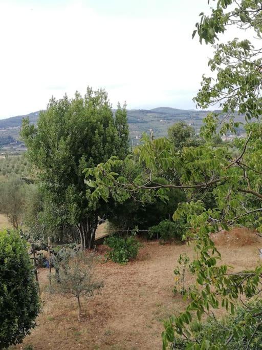 I Rosai Appartamento Sulle Colline Fiorentine Баньо-а-Риполи Экстерьер фото
